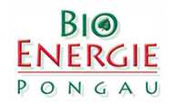Bioenergie Pongau Logo - Link zur Startseite